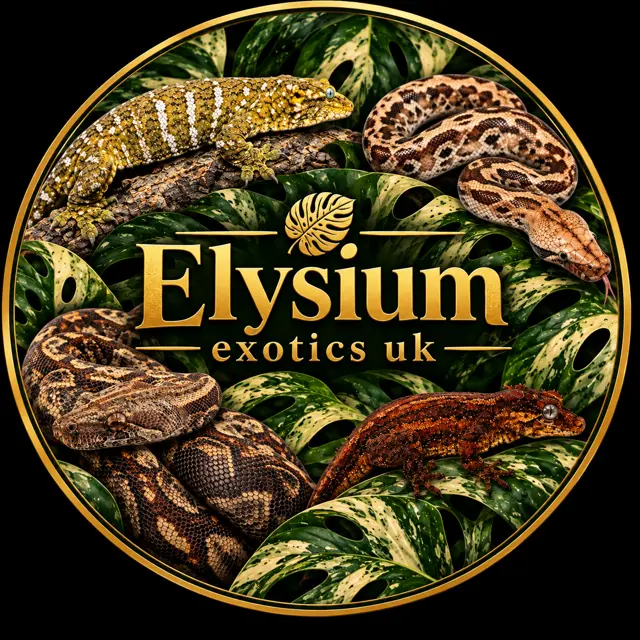Elysium Exotics UK