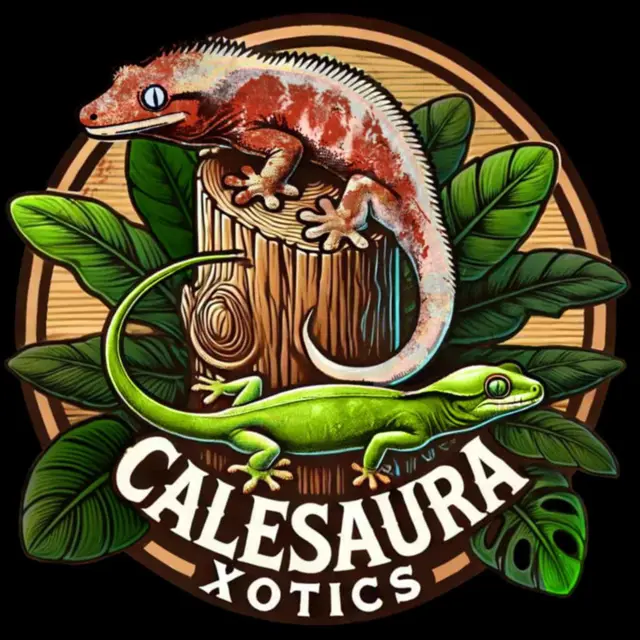 Calesauraxotics