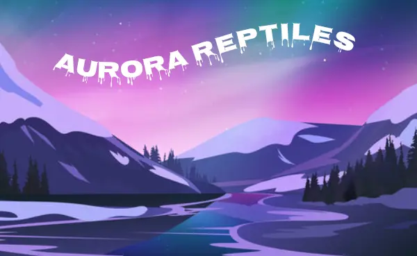 Aurora Reptiles