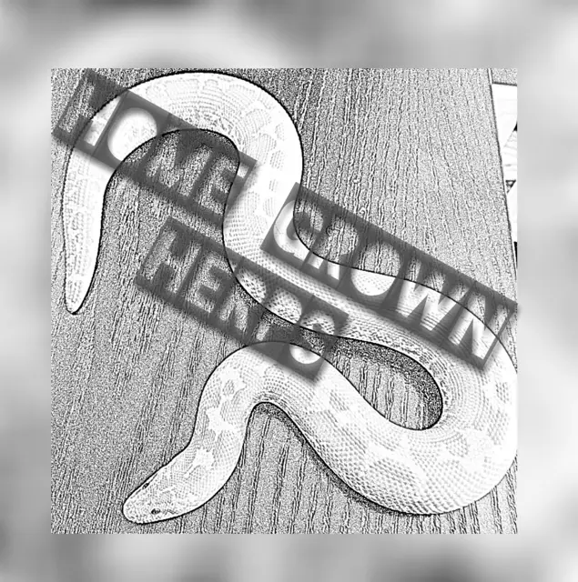 Home grown herps