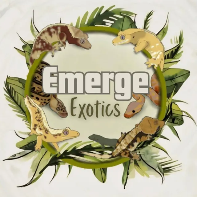 Emerge Exotics