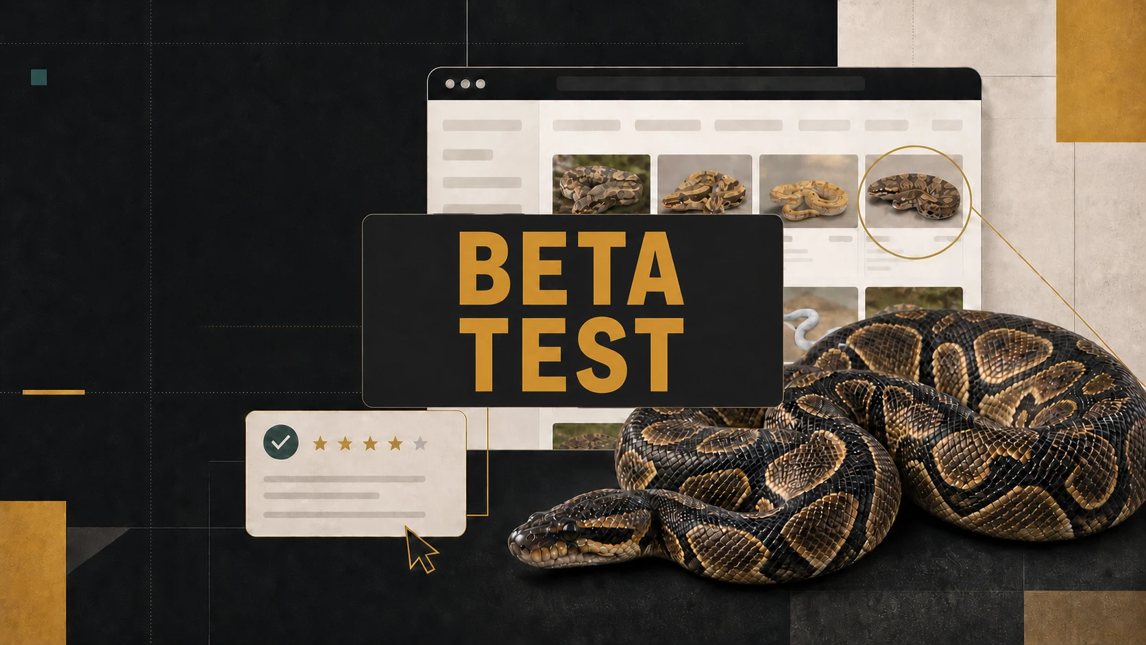 Welcome to the beta — here's how you can help