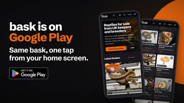 bask is on Google Play