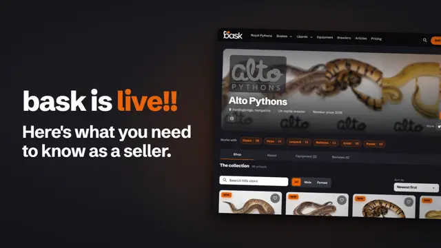 bask is live: what it does for sellers
